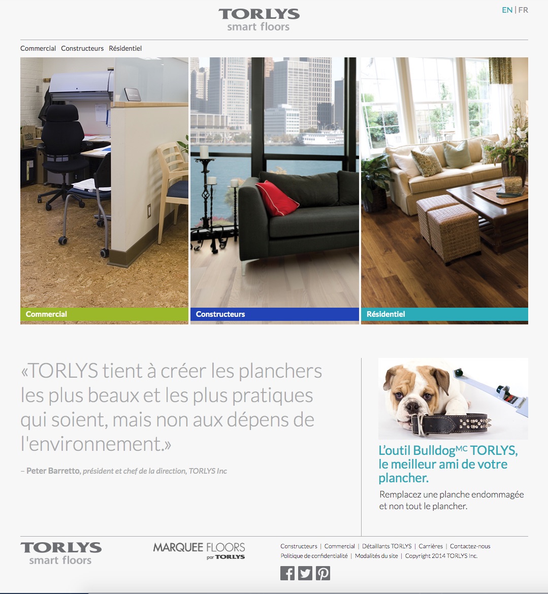 Old TORLYS Site Screenshot