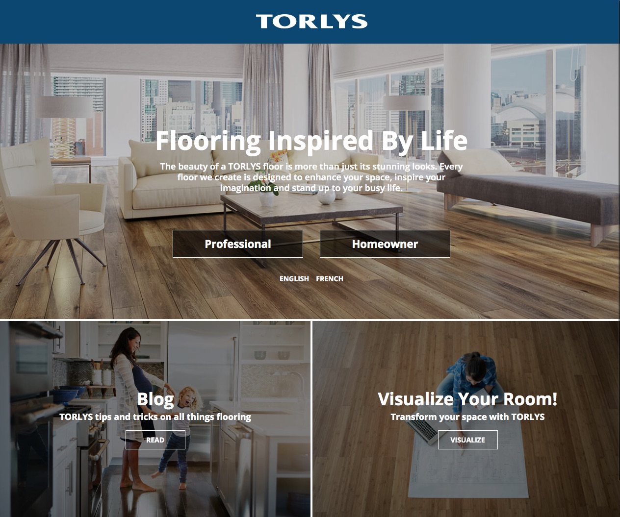 New TORLYS Website Screenshot
