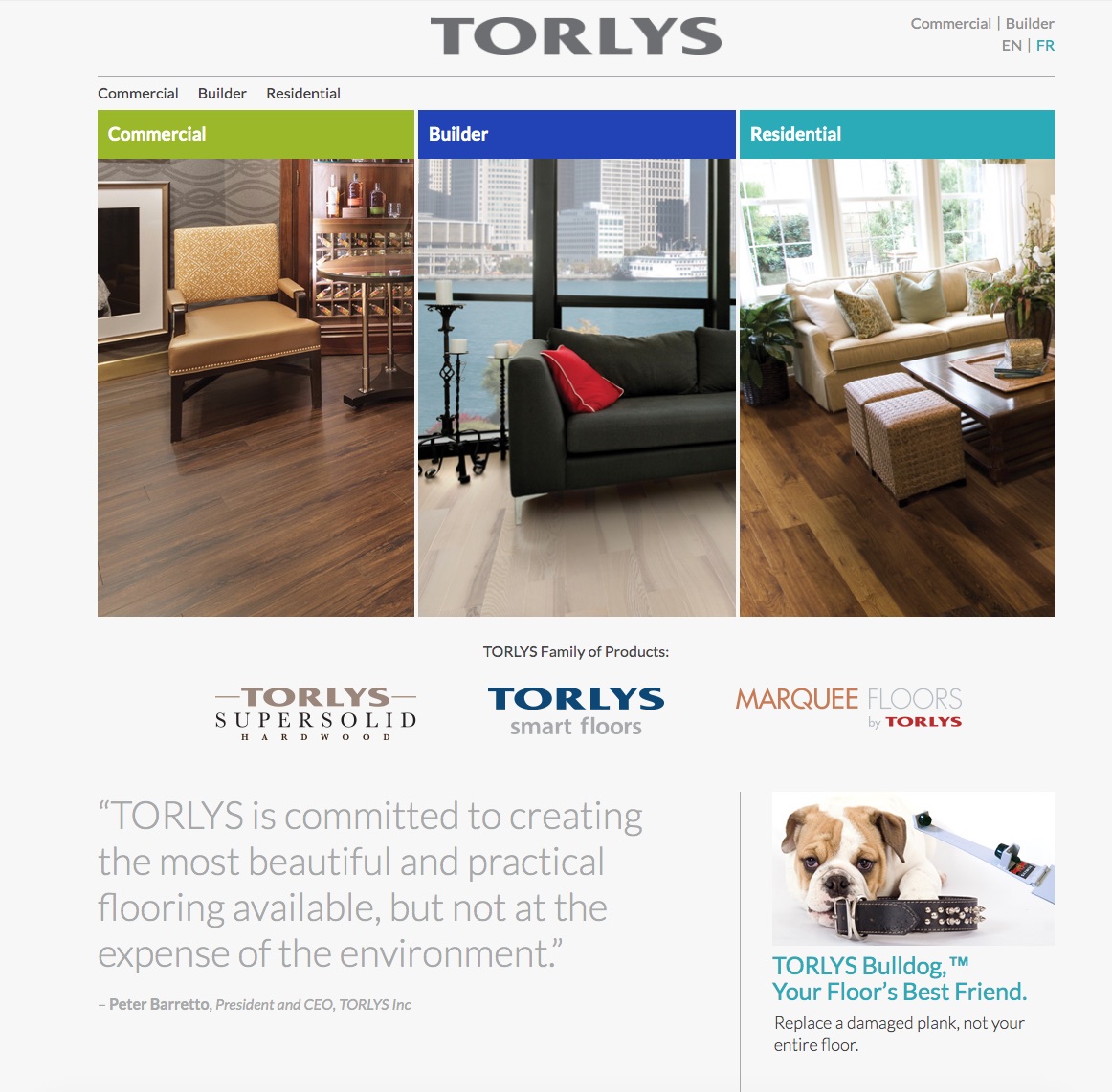 TORLYS Old Website 