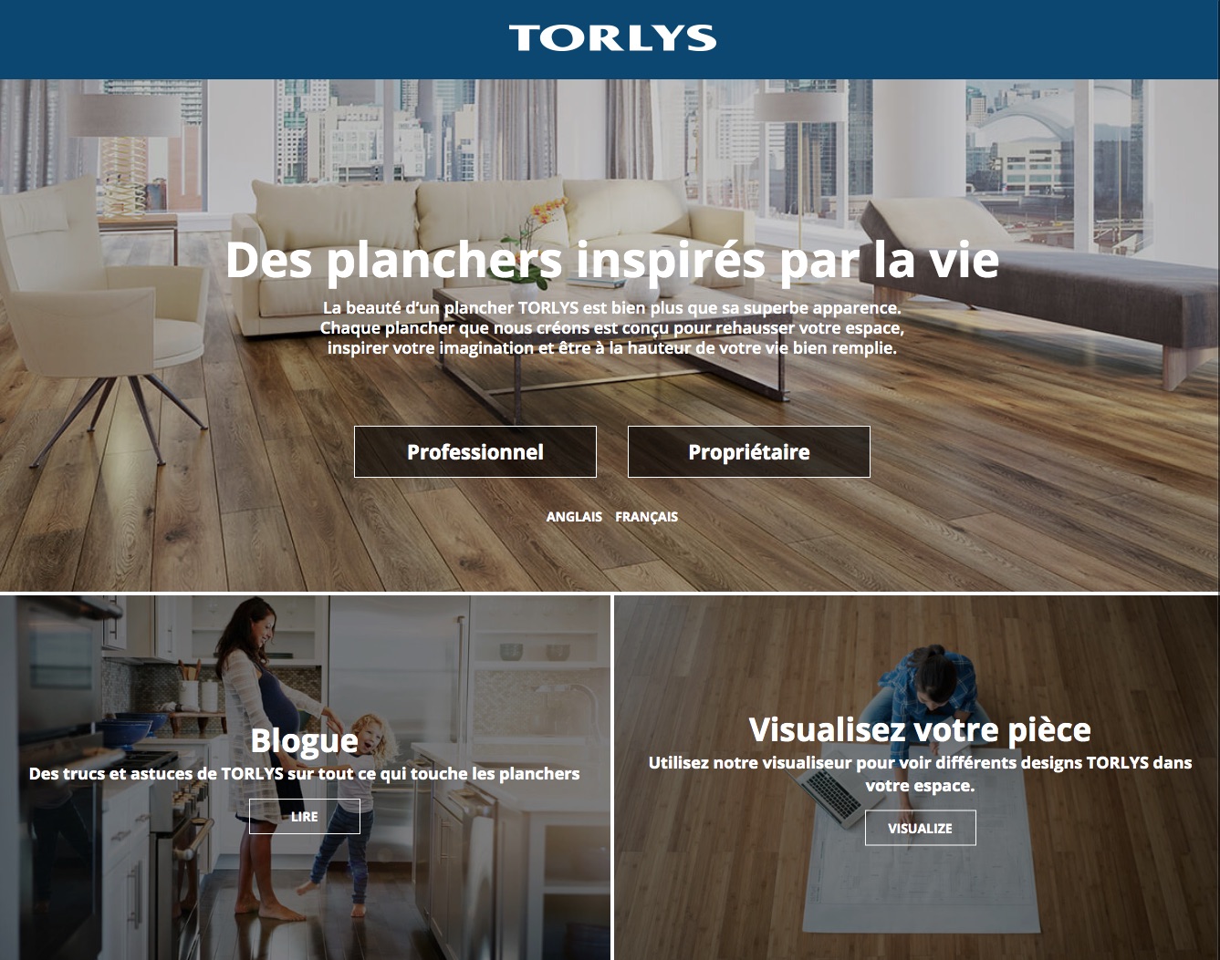 Après site launch screen shot - TORLYS