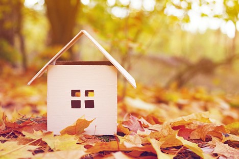 Toy house in the autumn leaves