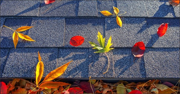 Autumn leaves on a roof