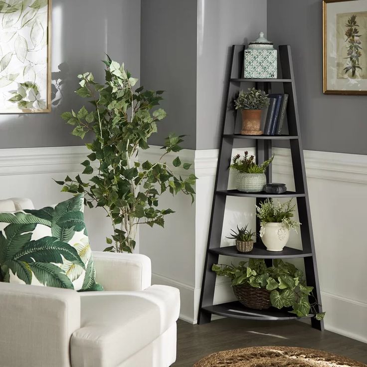 this is an image of a family room containing lots of indoor plants on a shelf