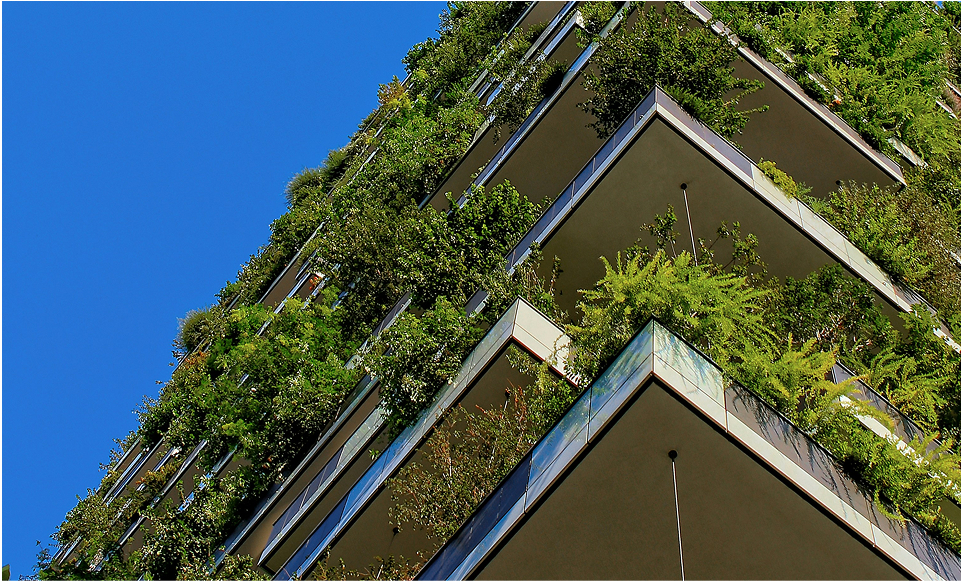 Canada Green Building Council Member