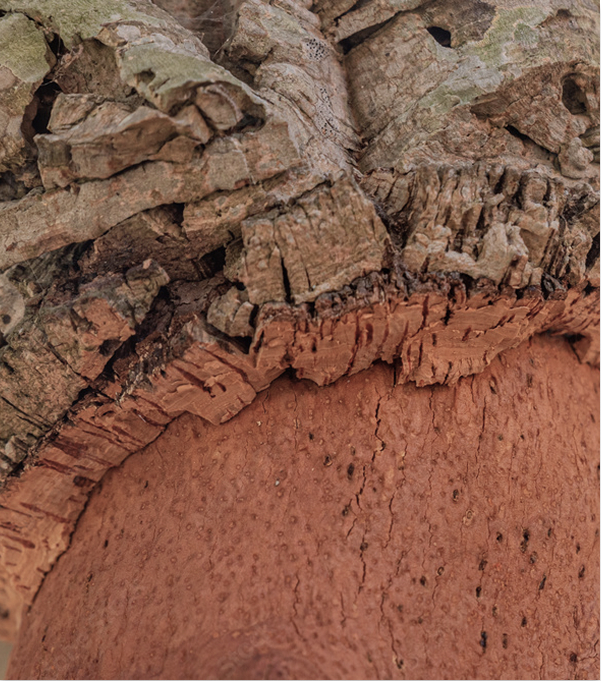 Close-up of a piece of cork bark highlighting its rough, textured layers and smooth, reddish-brown interior—showcasing natural patterns that reflect the sustainability of this eco-friendly material.