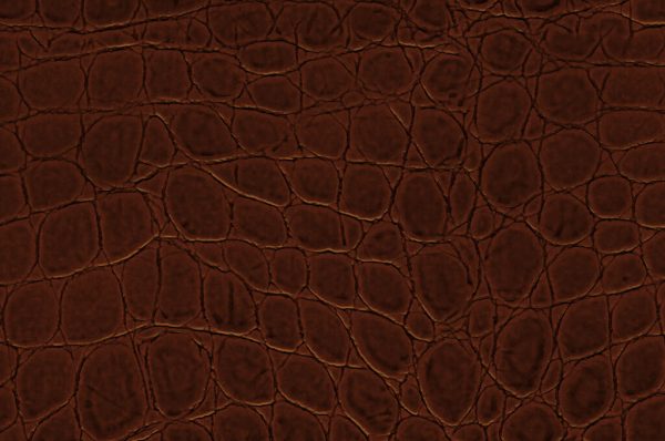 Close-up view of Modena Wine’s dark brown textured leather surface with irregular, raised patterns like reptile skin. The uneven, glossy finish highlights the natural grain and distinctive lines.