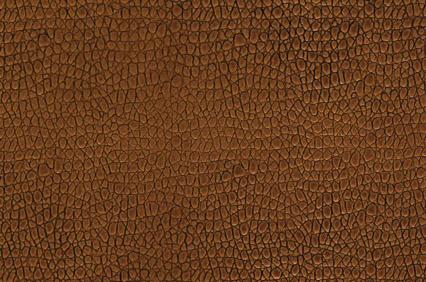 Close-up of Catania, showcasing a textured brown surface with irregular, scale-like patterns that resemble natural reptile or alligator skin.