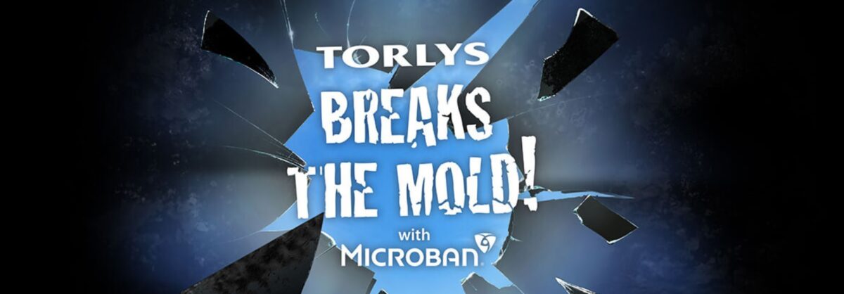 How to Prevent Mold in Your Home