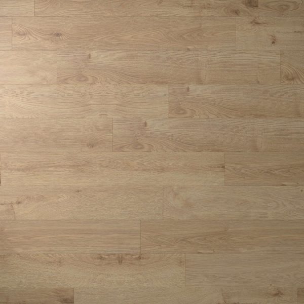 Moraine features light-colored wooden planks with a natural grain pattern, laid in a staggered design. Subtle variations in shade and texture add depth to the seamless surface.