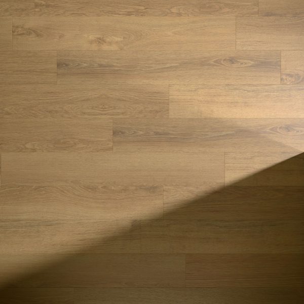 The Willcox features light brown wooden flooring with visible grain and rectangular planks; a diagonal shadow across the bottom right enhances the contrast between illuminated and shaded areas.