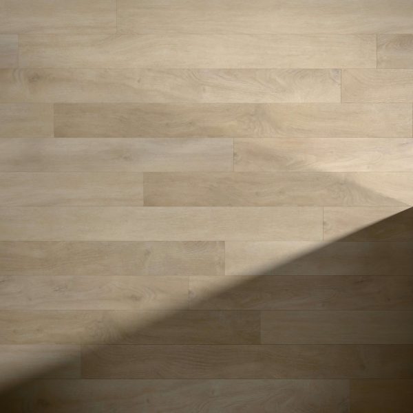 Brook Falls features light wooden floorboards arranged horizontally, with a diagonal shadow crossing from lower left to upper right, highlighting the contrast between sunlit and shaded areas.