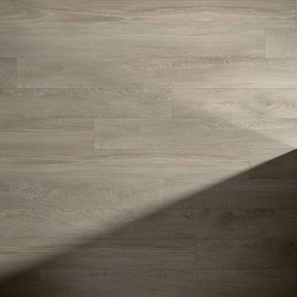 Harrington* features light-colored wooden floorboards with subtle grain patterns. A diagonal shadow crosses the lower right corner, creating a striking contrast between lit and shaded areas.
