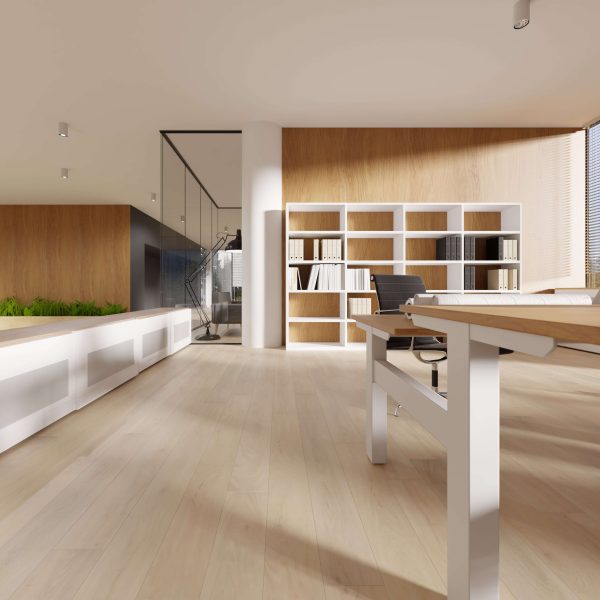 Springwood: Modern office with light wood floors, white shelves of books, desk and chair, sunlit windows, glass-walled room in back, and green plants along a low left partition.