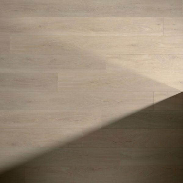 Springwood floorboards feature a pale, neutral tone with smooth, natural grain. A diagonal shadow in the lower right corner highlights the contrast between illuminated and shaded areas on the light wood surface.