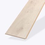 Notus Oak