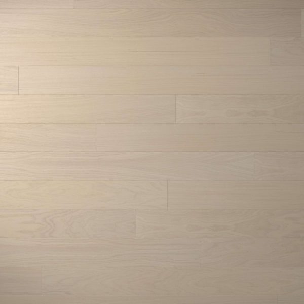 Coastal Oak* is a light-colored wooden floor with a smooth finish, showcasing subtle wood grain patterns and evenly spaced horizontal planks.
