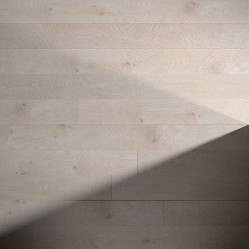 Agassi* features light-colored wooden floorboards with a diagonal shadow across the lower right, accentuating the natural wood grain and creating a striking contrast between lit and shaded areas.