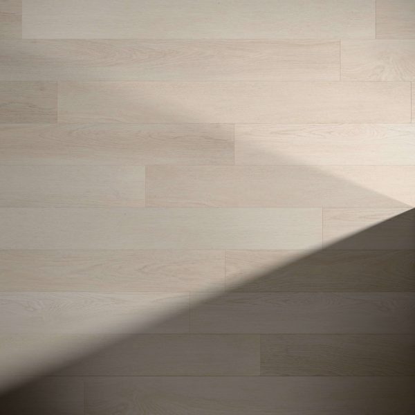 Carolina features light-colored wooden floorboards with a diagonal shadow cast from the bottom right, creating an appealing contrast between illuminated and shaded areas.