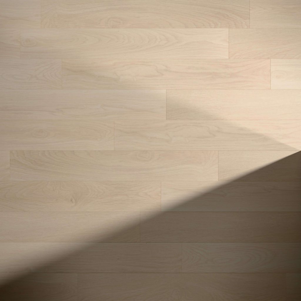 Cornish light wood floor with horizontal planks features a diagonal shadow in the bottom right corner, creating a striking contrast between sunlit and shaded areas.