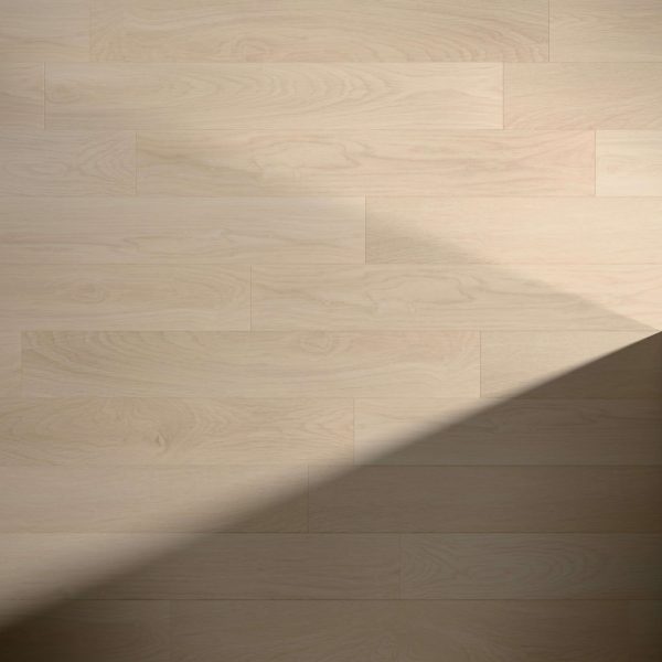 Cornish light wood floor with horizontal planks features a diagonal shadow in the bottom right corner, creating a striking contrast between sunlit and shaded areas.