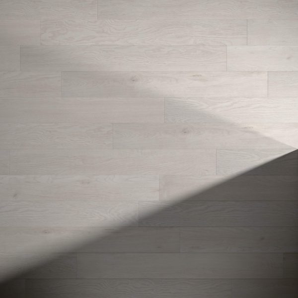 Spinnaker features a light-colored wooden floor with a diagonal shadow cast across the lower right side, highlighting the contrast between illuminated and shaded areas.