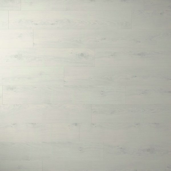 Paloma Oak features light gray wood flooring with a subtle grain and natural knots, arranged in a staggered plank layout. The smooth, matte finish adds a contemporary touch to any space.