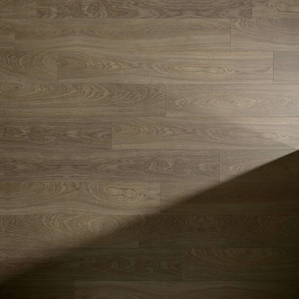 Burlington Oak light brown floor panels feature visible wood grain patterns. A shadow crosses the lower right corner, contrasting with the illuminated upper left. The surface of these panels appears clean and smooth.