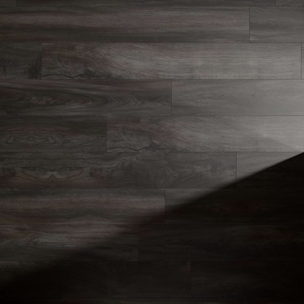 Cormorant* features dark wooden floorboards with a visible wood grain. A diagonal shadow crosses the bottom right, creating contrast with the lighter, illuminated upper left section.