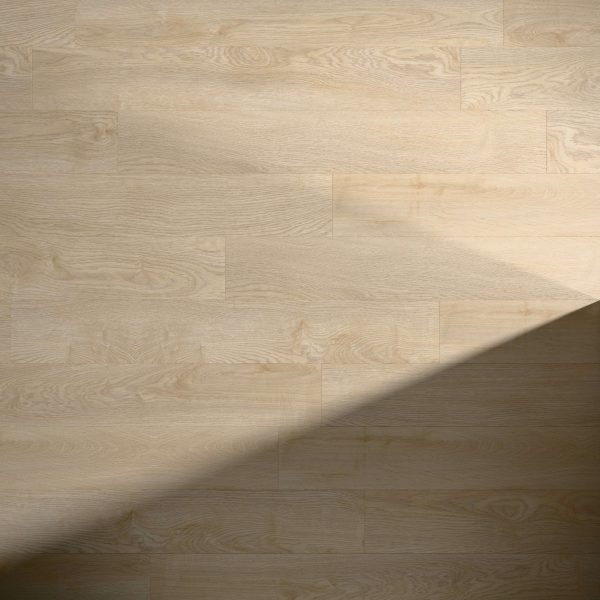 Delta features a light wood floor with a subtle grain pattern, illuminated on the upper left while a diagonal shadow covers the lower right, creating striking contrast between light and shaded areas.