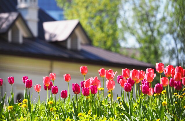 Four Spring Tips to Freshen Up Your Home